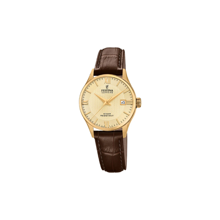 Festina Swiss Made - F20011/6